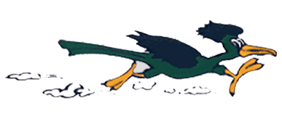 Evergreen.png